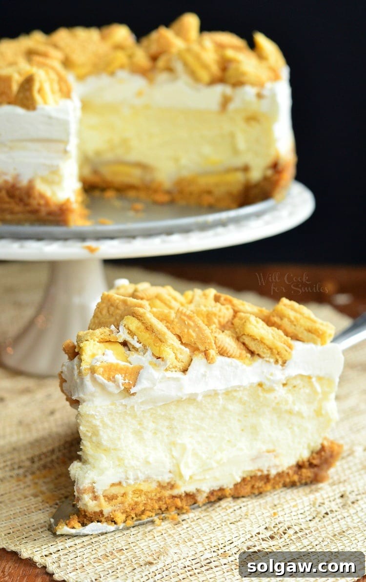 Lemon Oreo Cheesecake with crushed oreos on top on a cake pan with a slice below it on the table