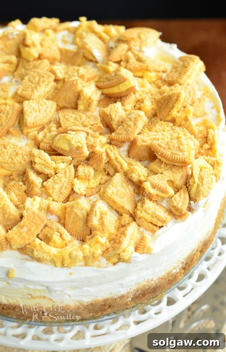 Lemon Oreo Cheesecake with crushed oreas on top
