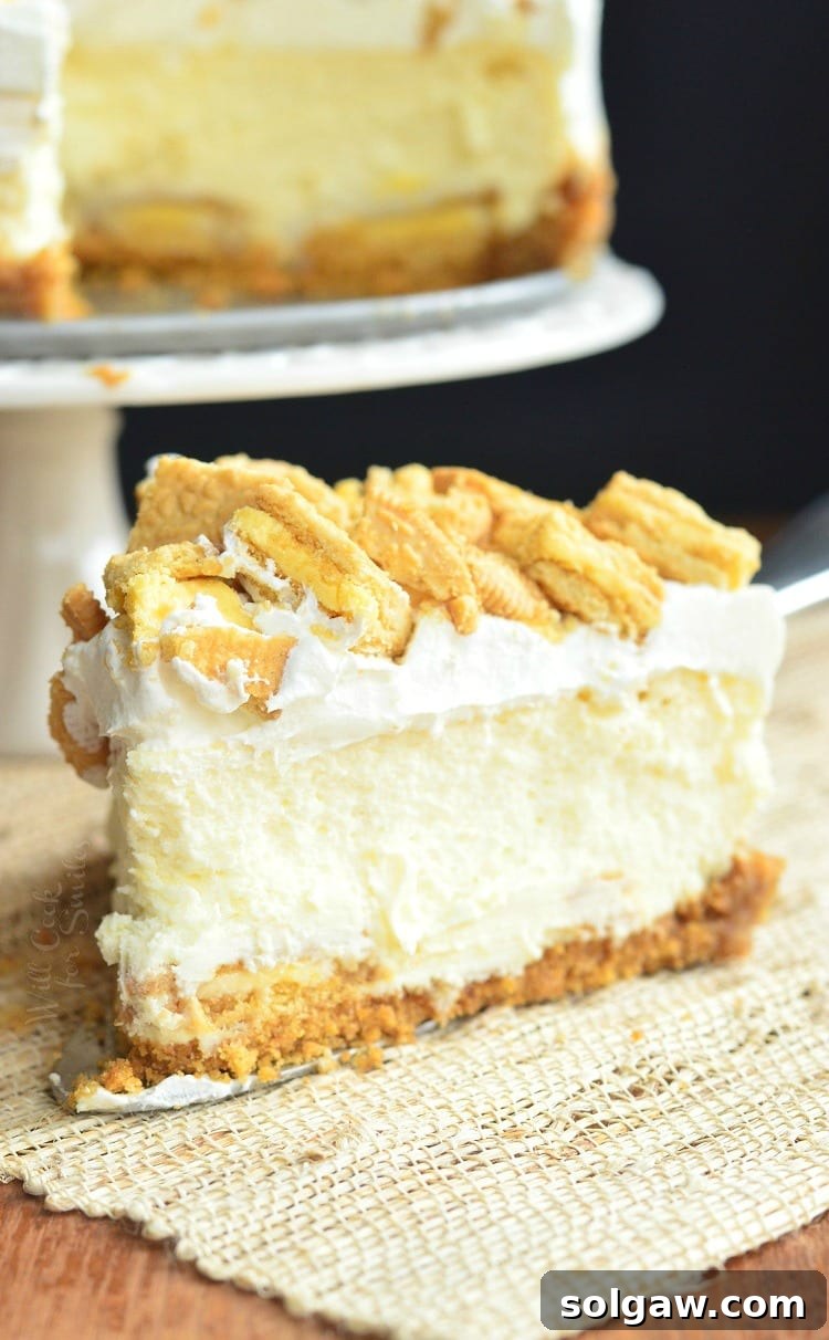 A perfectly sliced piece of Lemon Oreo Cheesecake