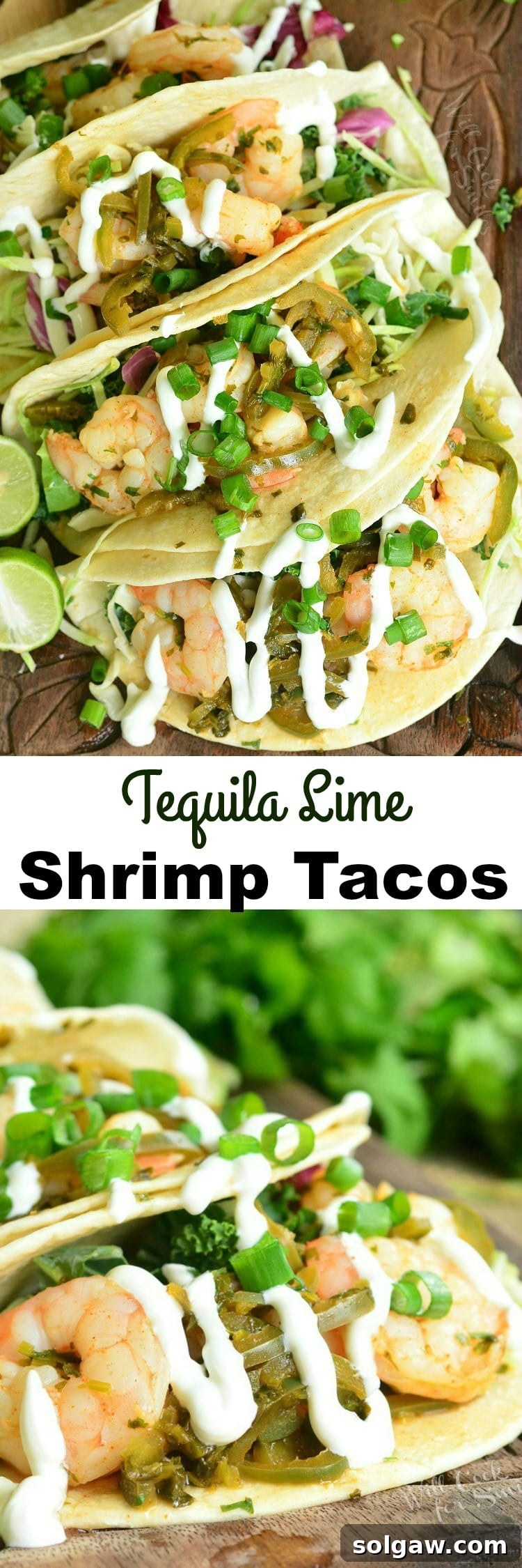 Top view of tequila Lime Shrimp Tacos with sour cream and green onions on top