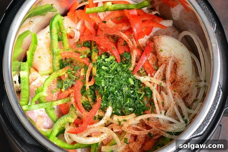 Fiesta Slow Cooker Salsa Chicken 4 ingredients combined in an Instant Pot before cooking