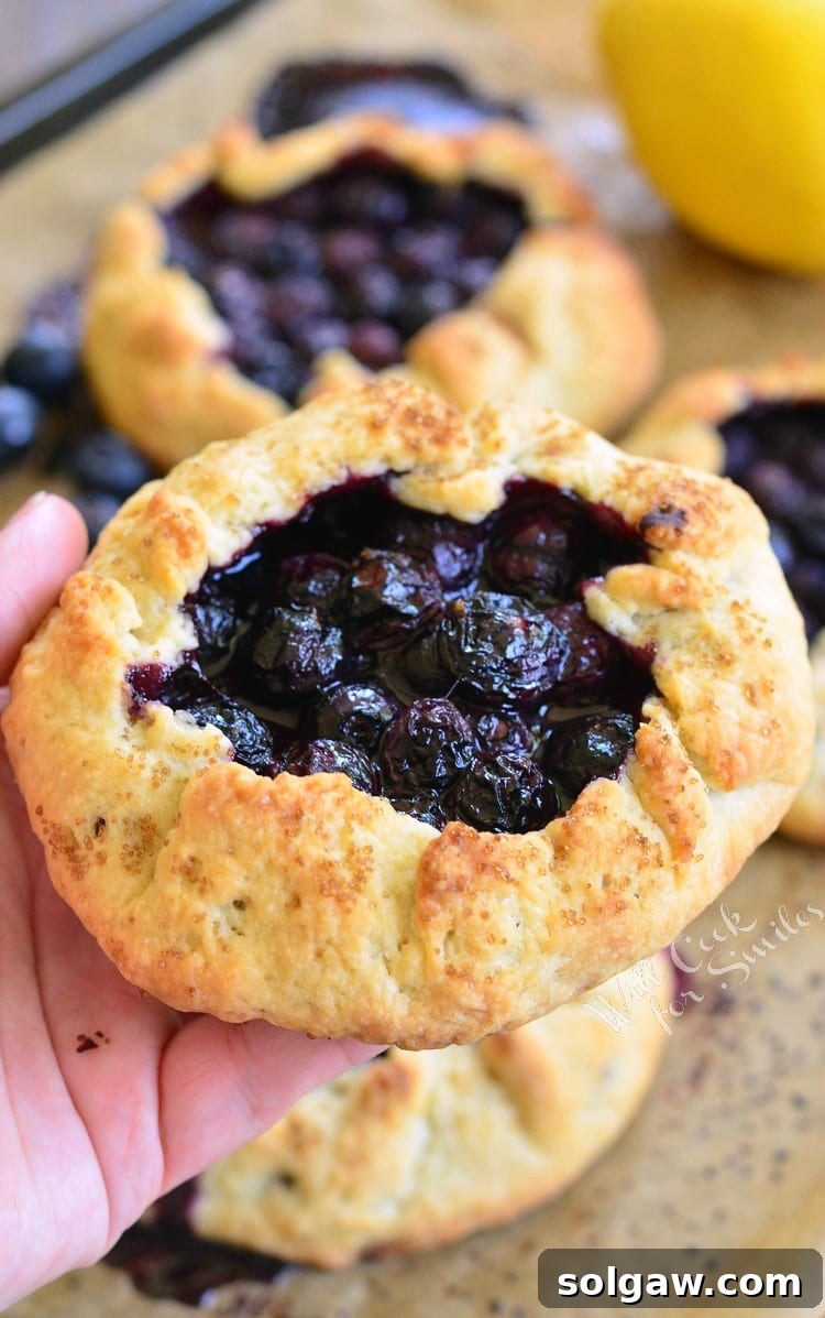 Sweet & Tart Blueberry Galette 3 Close-up of a hand holding a freshly baked Lemon Blueberry Galette