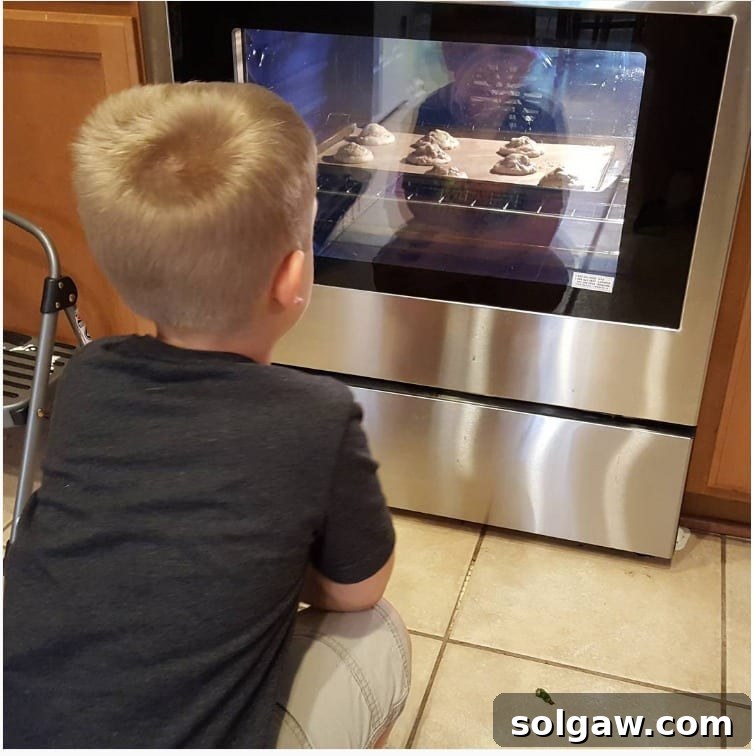 my little man sitting in front of the oven watching the cookies inside bake
