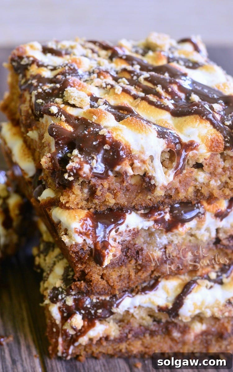 Triple-Layer Double Chocolate S'mores Crumble Bars 2 Stacked S'Mores Crumble Cookie Bars with perfectly melted and golden-brown marshmallows on top
