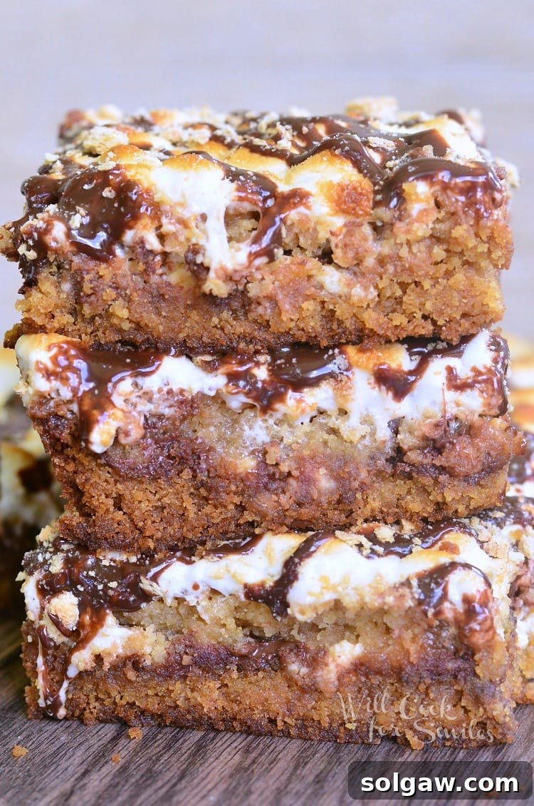 Triple-Layer Double Chocolate S'mores Crumble Bars 3 Close-up shot of S'Mores Crumble Cookie Bars, highlighting the melted marshmallows and chocolate layers