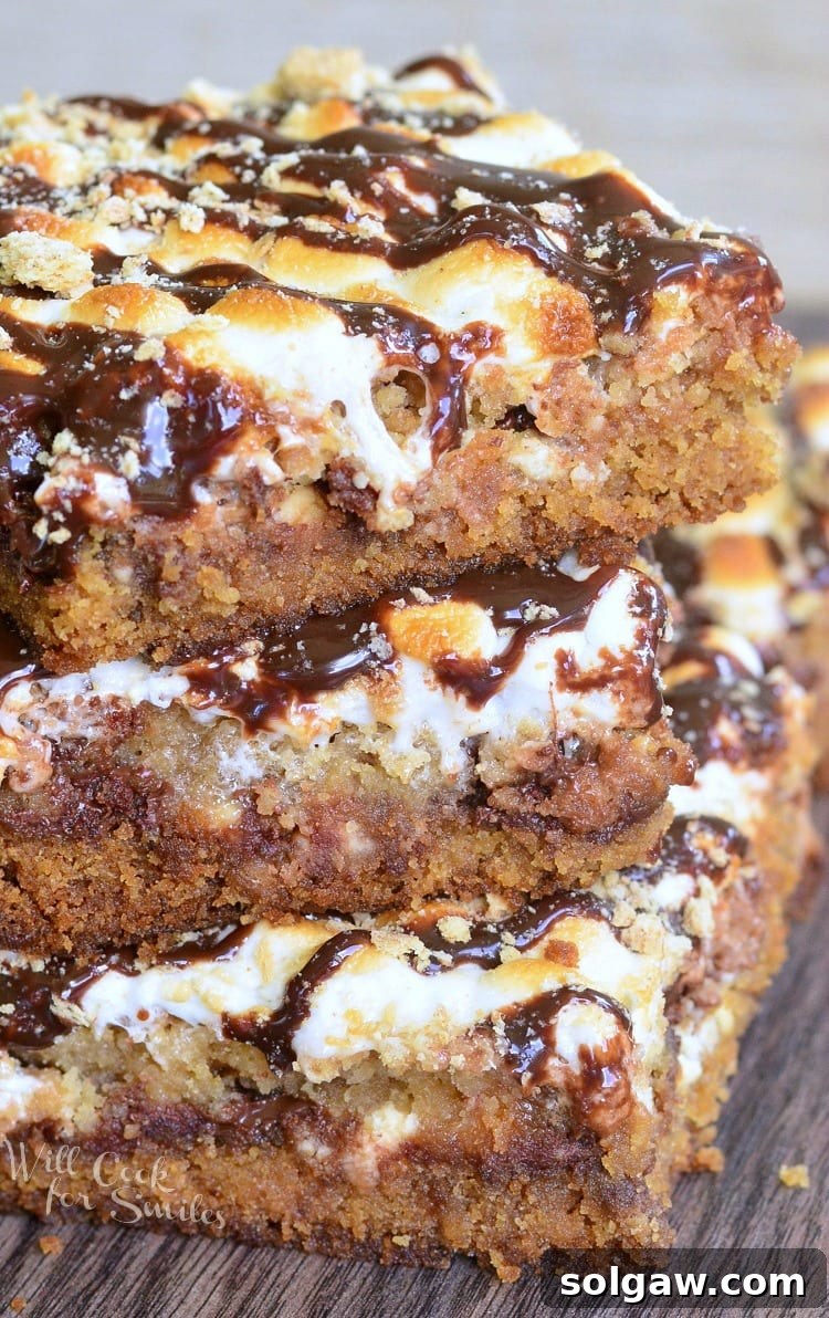 Triple-Layer Double Chocolate S'mores Crumble Bars 6 Individual S'Mores Crumble Cookie Bars, drizzled with hot fudge and graham cracker crumbles, ready to eat