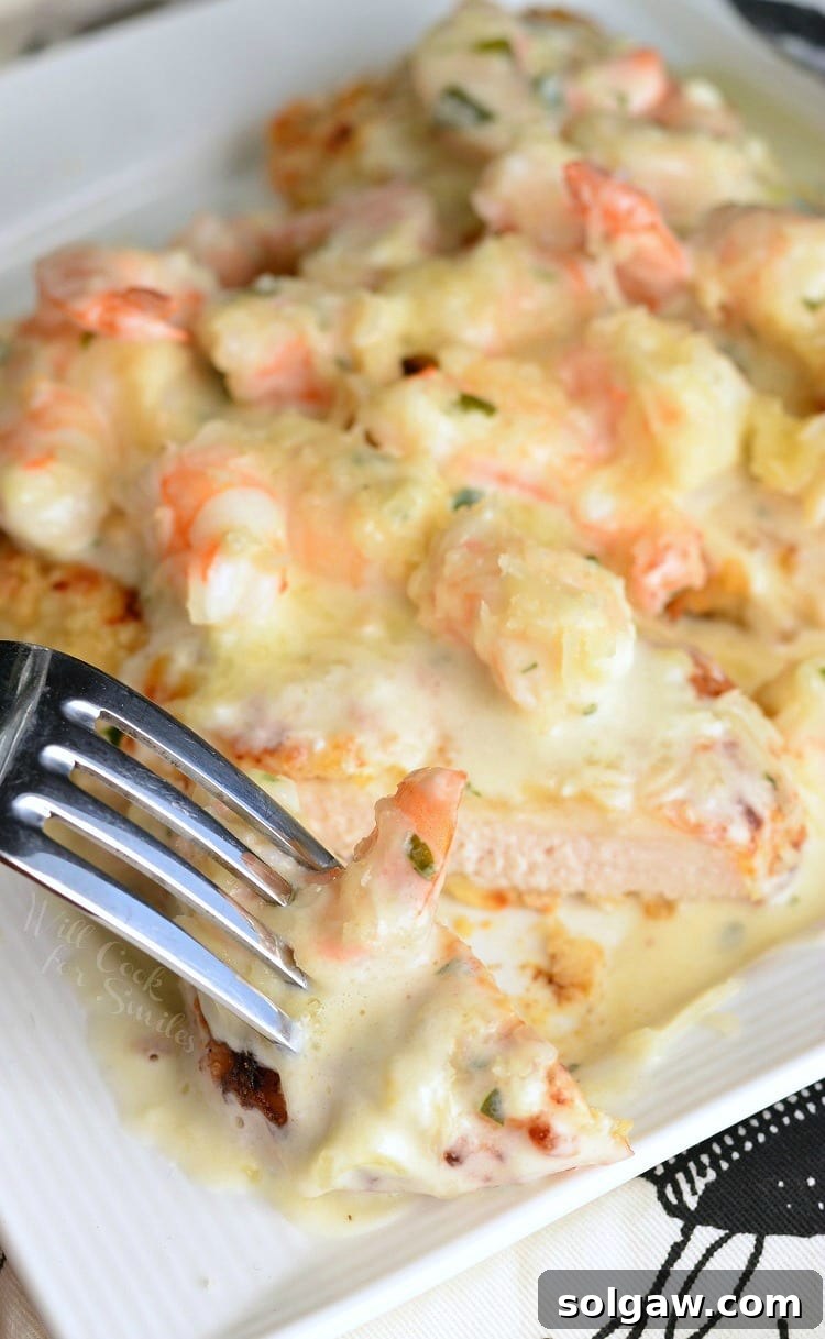 top view Oven Fried Chicken topped with shrimp and a Creamy Fontina cheese Shrimp Sauce on a white plate