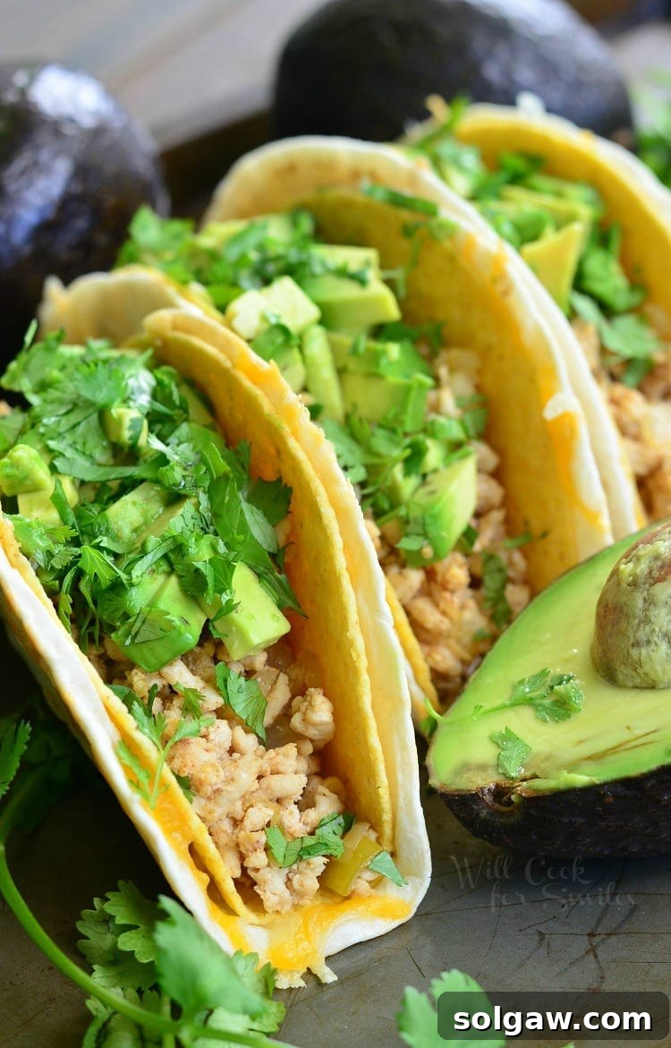 Close-up of three Avocado Turkey Tacos showcasing the juicy ground turkey, fresh avocado, and green cilantro within a crisp hard taco shell