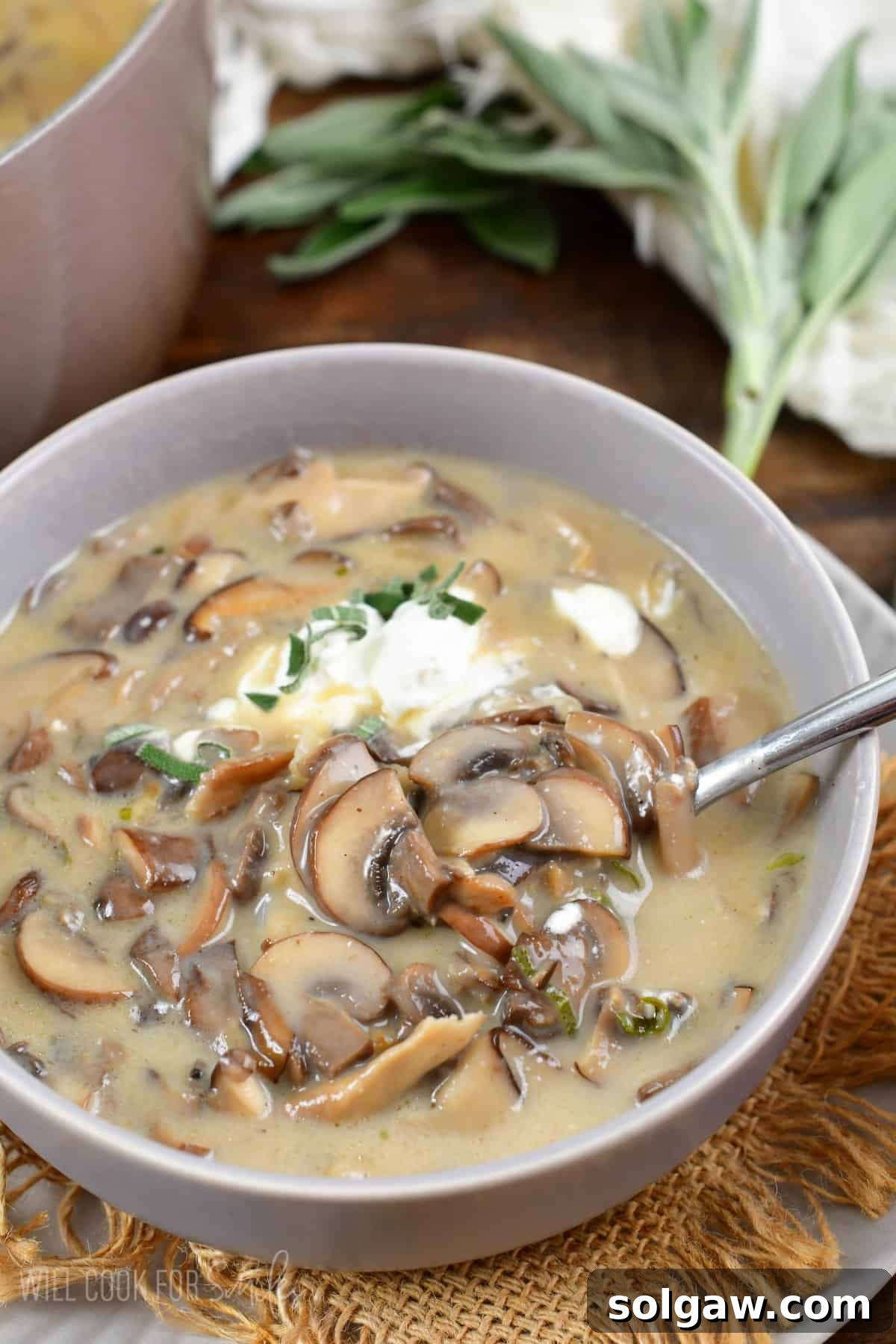 A rich and creamy mushroom soup being served from a grey bowl, highlighting its comforting appeal and fresh ingredients.
