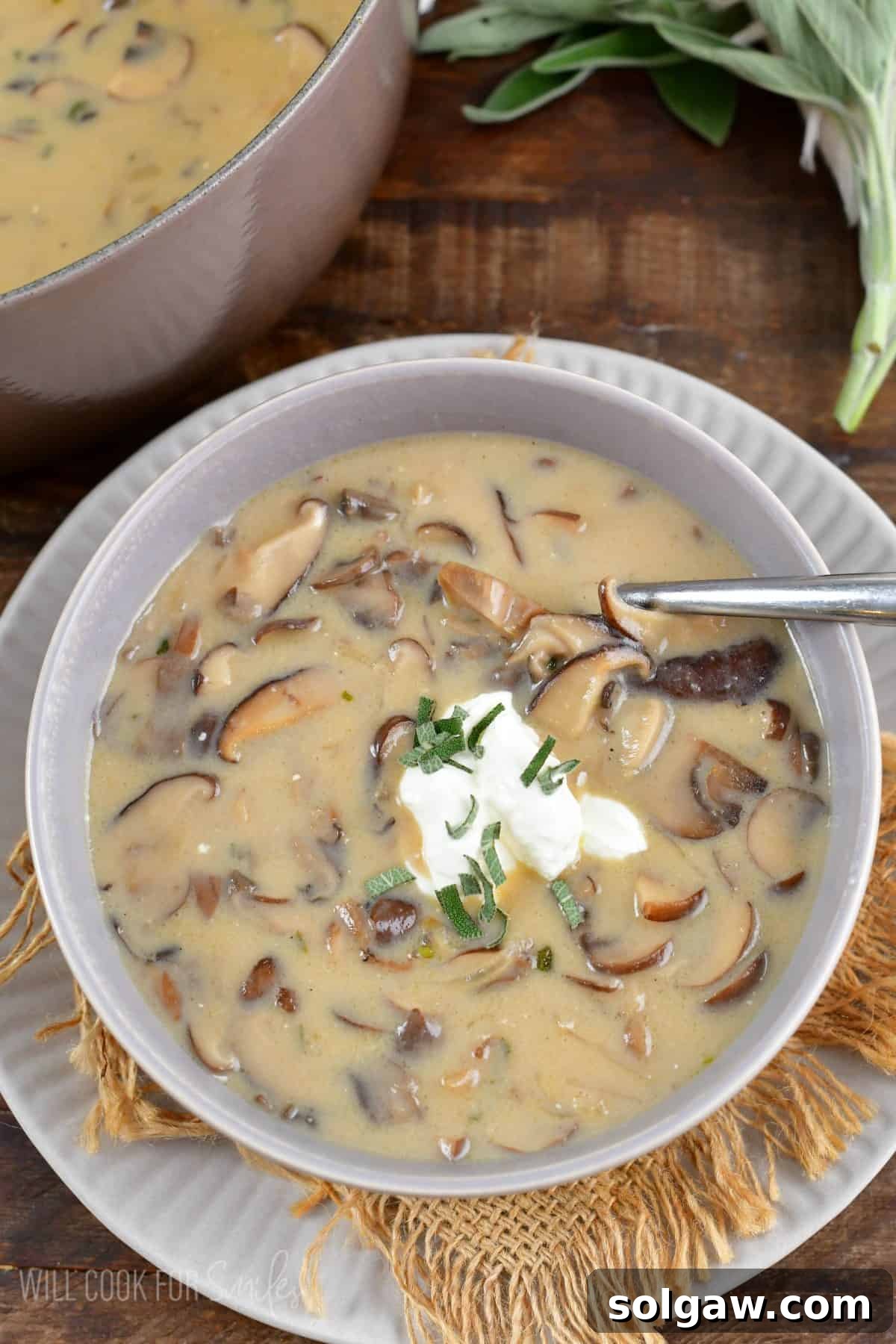 A beautifully presented bowl of creamy mushroom soup, garnished with a dollop of sour cream and fresh herbs, sitting on a grey plate.