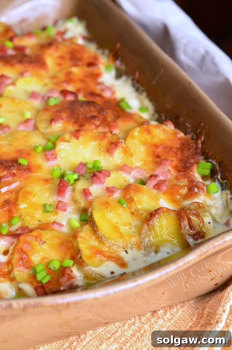 Close-up of Chicken Cordon Bleu Scalloped Potatoes recipe