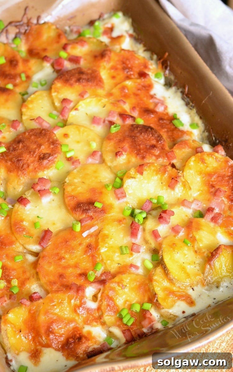 Top view of Chicken Cordon Bleu Scalloped Potatoes in a brown casserole dish, golden and irresistible