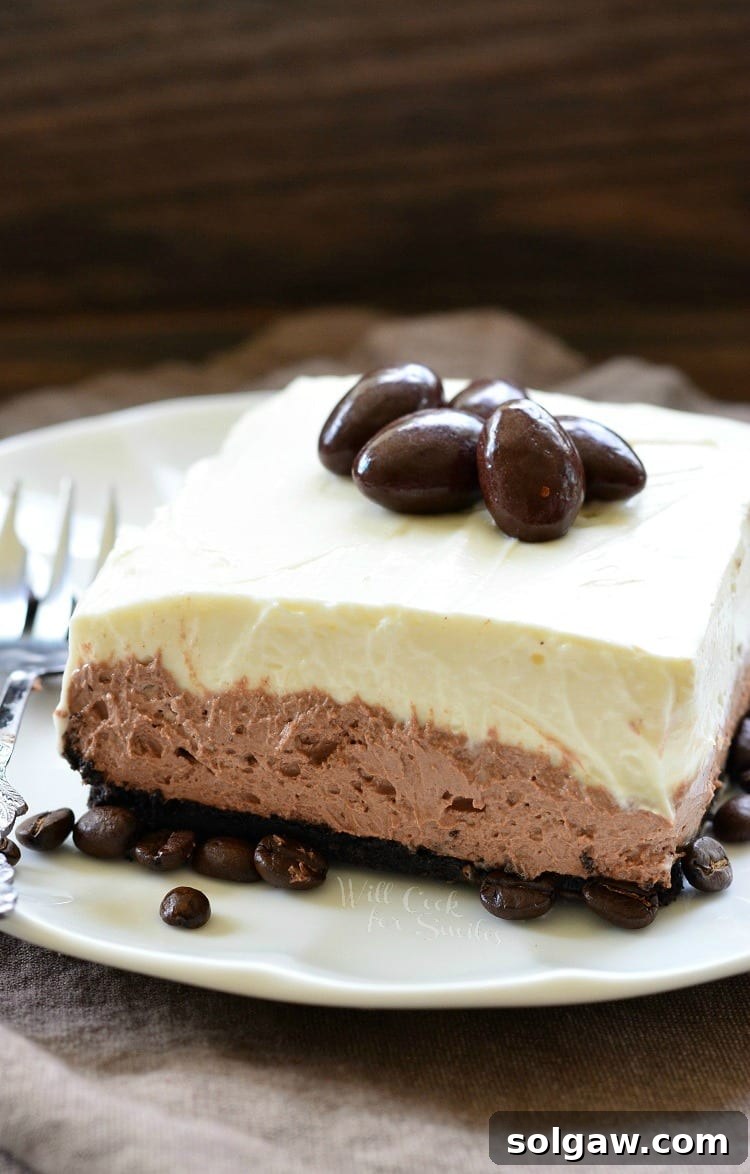 Layered Chocolate Espresso Cheesecake Dessert on a white plate
