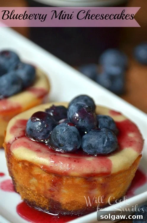 Blueberry mini cheesecake with blueberries on top on a white dish