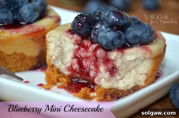 Blueberry mini cheesecake with blueberries on top on a white dish with a bite out of it