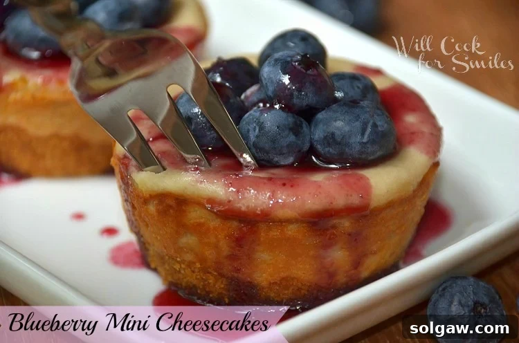 Blueberry mini cheesecake with blueberries on top on a white dish with a fork in one
