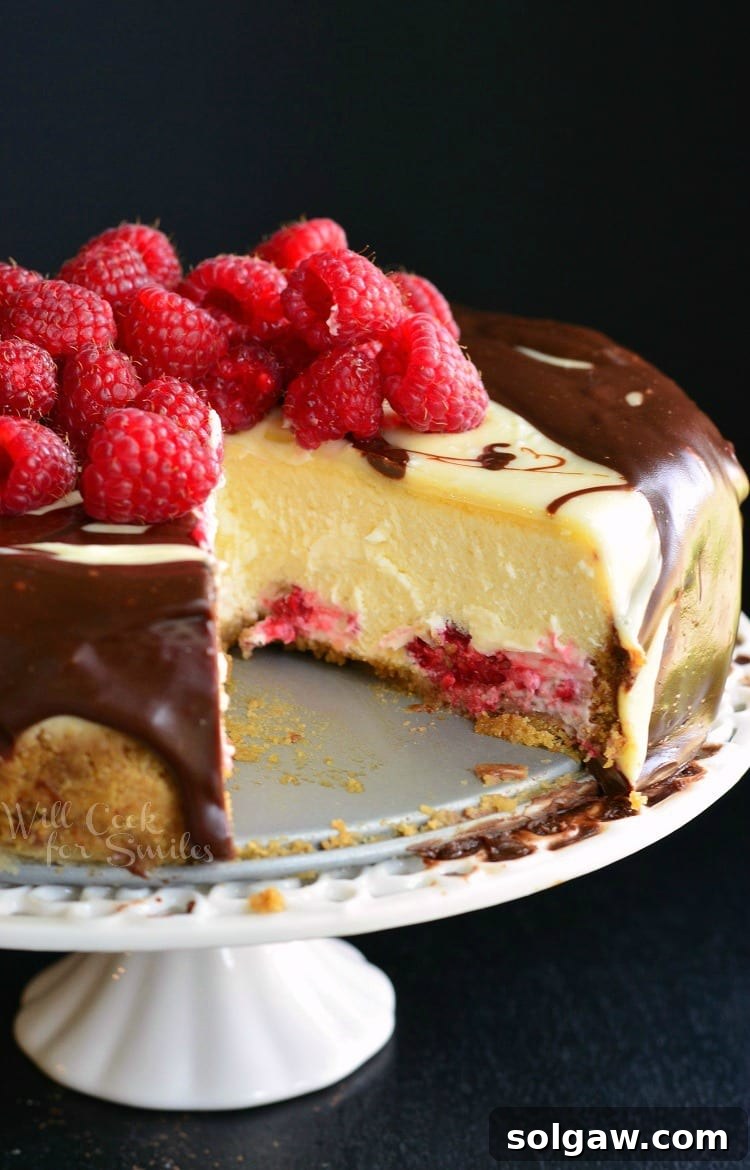Rich Double Chocolate Ganache and Raspberry Cheesecake presented on a cake stand with one slice removed