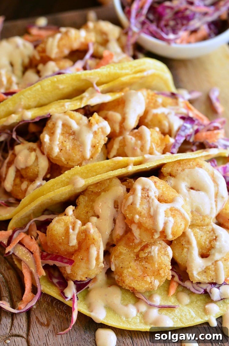 Three mouth-watering corn tortillas filled with crispy shrimp, red cabbage slaw, and a generous dollop of creamy sauce.