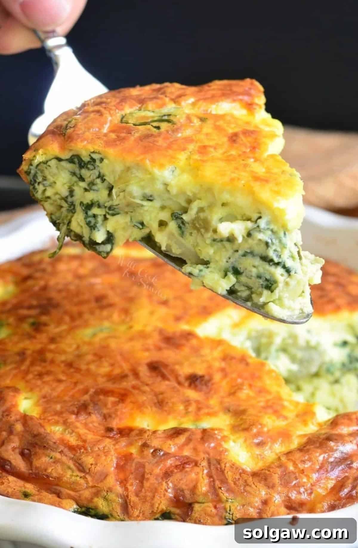 A hand holding a slice of spinach artichoke crustless quiche over the baking dish, ready to be served.