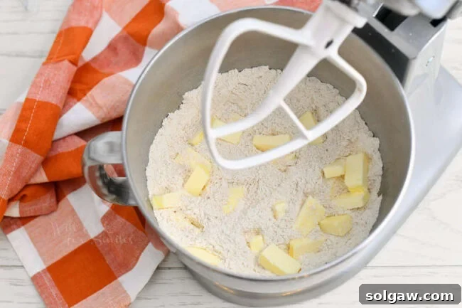 flour and cubes of butter in bowl of a stand mixer
