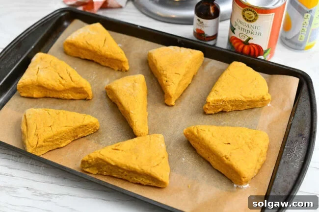 unbaked pumpkin scones on parchment lined baking sheet