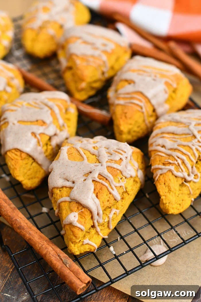 glazed pumpkin scones on black wire cooling rack