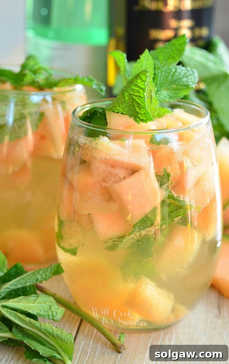 Melon Mint Wine Spritzer in a stemless wine glass with mint as a garnish 