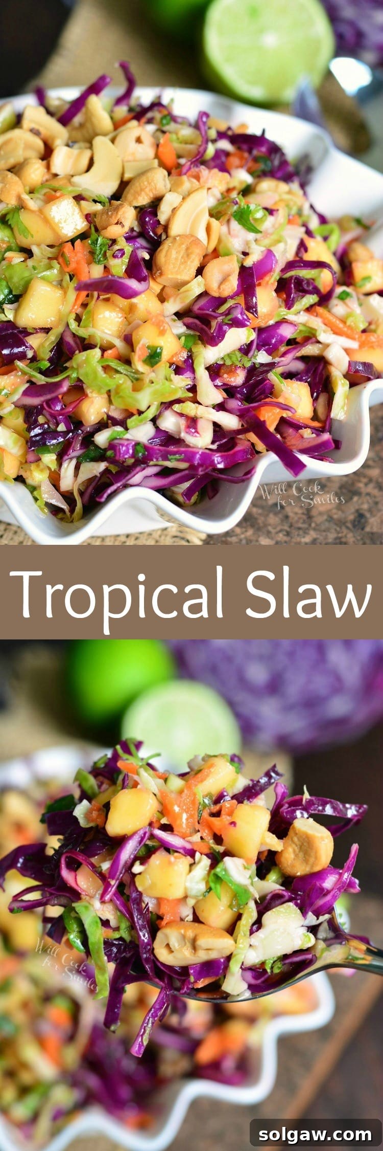Collage showcasing Tropical Coleslaw: a full bowl and a serving spoon.