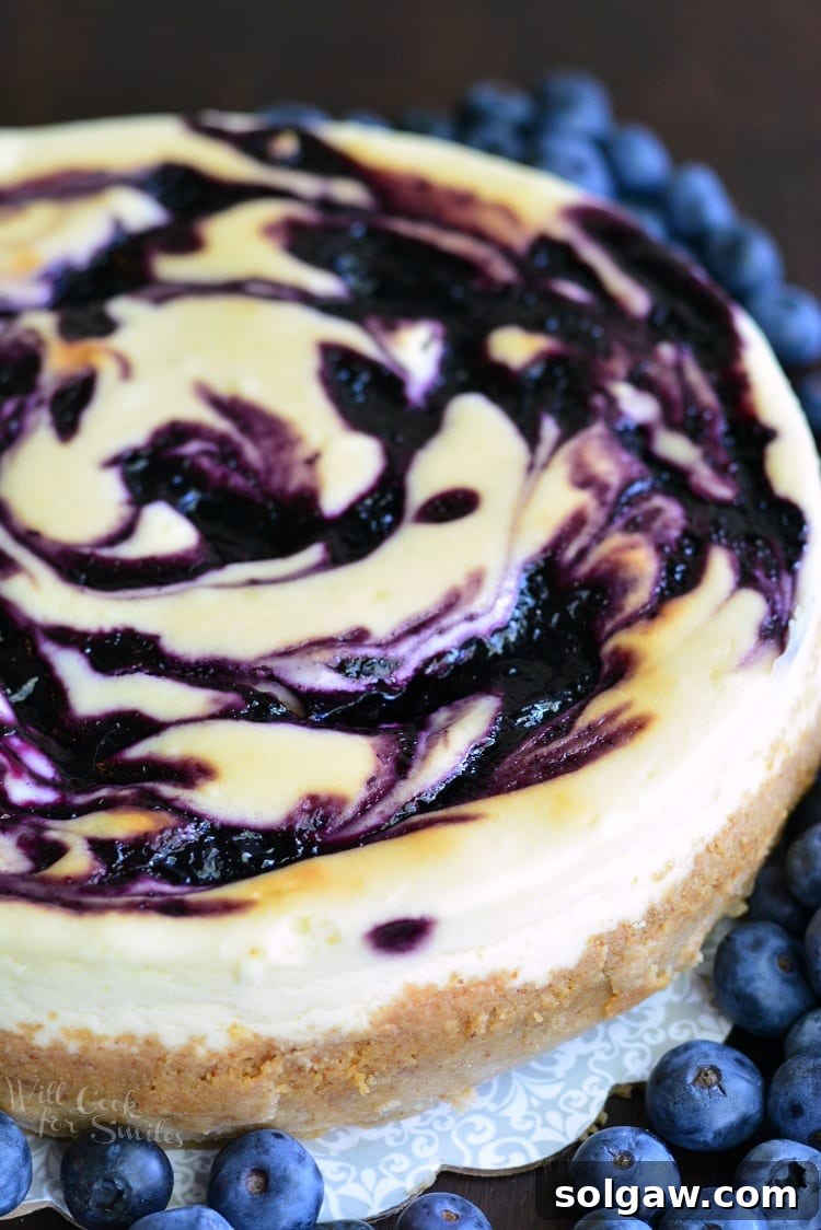 A close-up view of a blueberry cheesecake showcasing beautiful swirls of blueberry jam within the creamy filling.