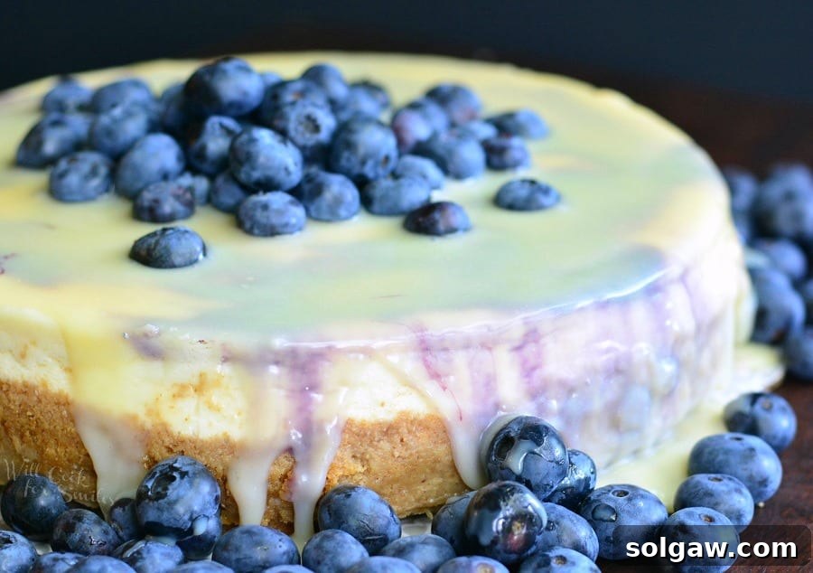 A wide shot of a whole white chocolate blueberry cheesecake, showcasing its elegant presentation.