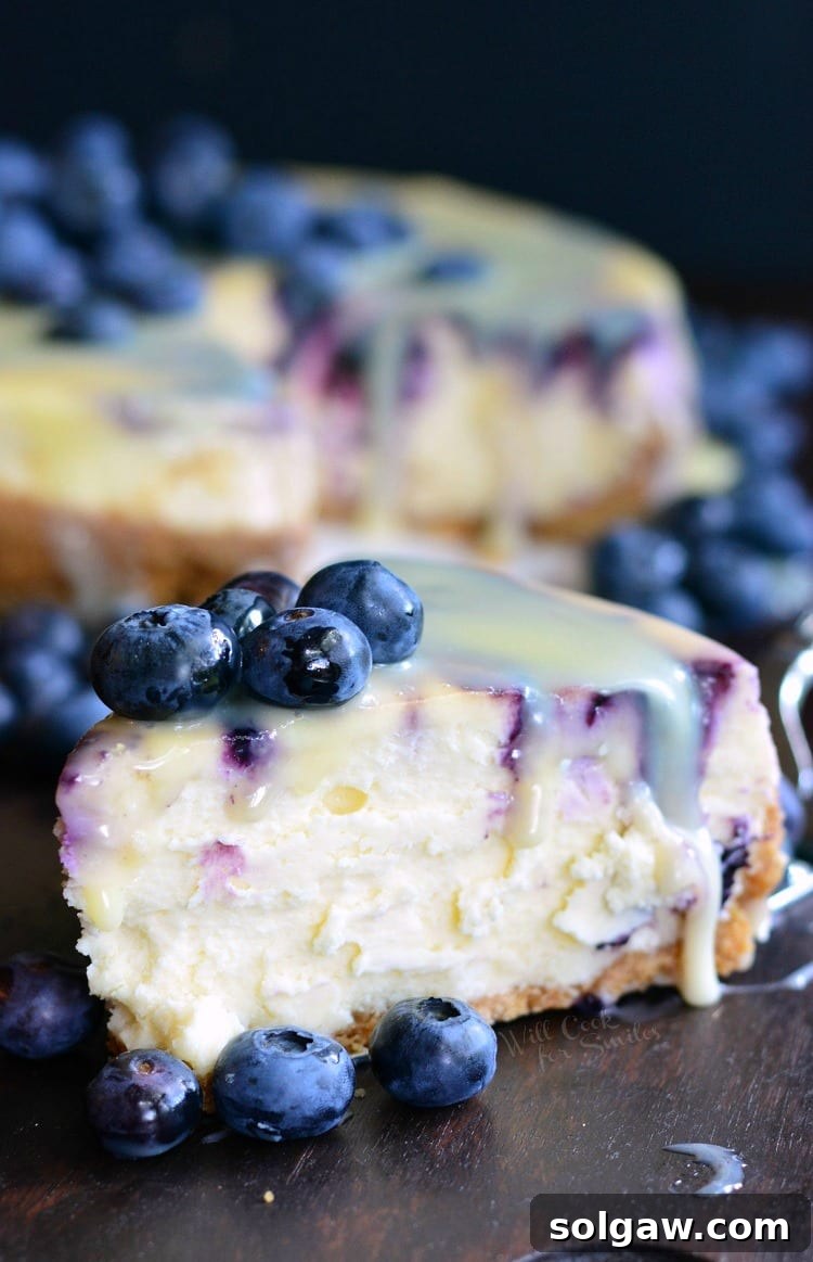 A single slice of white chocolate blueberry cheesecake on a plate, adorned with fresh blueberries and white chocolate drizzle.
