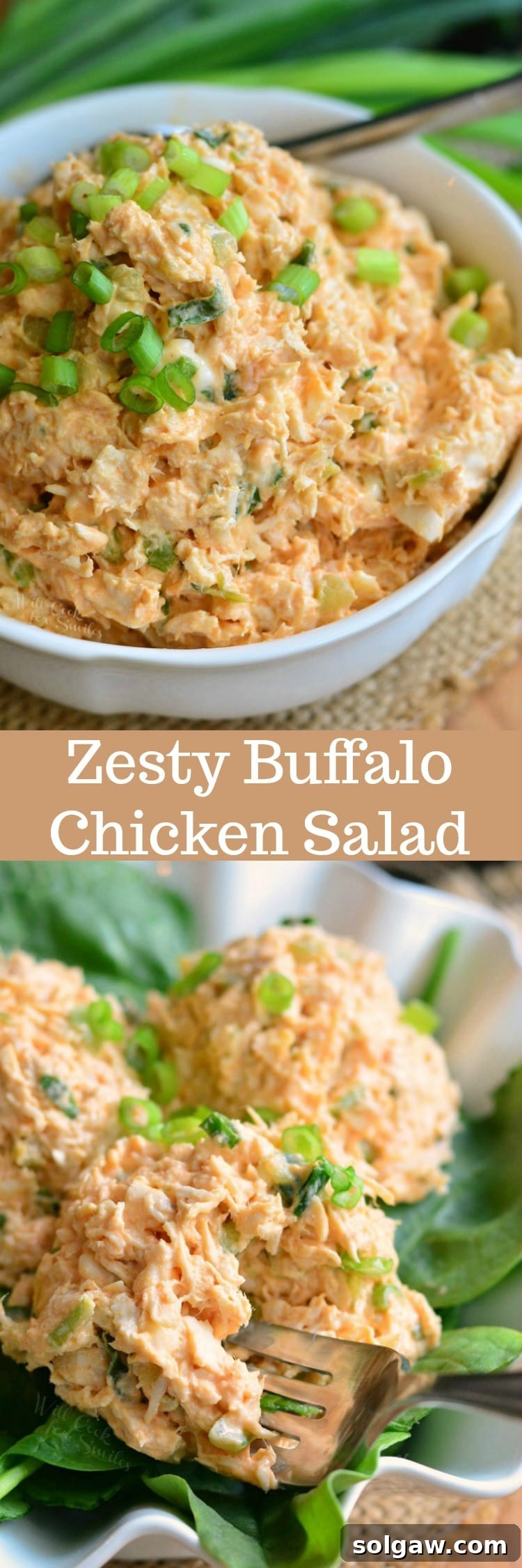 A vibrant collage of two images: the top photo showcases the Zesty Buffalo Chicken Salad in a bowl garnished with green onions, while the bottom photo displays shredded chicken ready to be mixed, set on a bed of fresh lettuce on a plate with a fork
