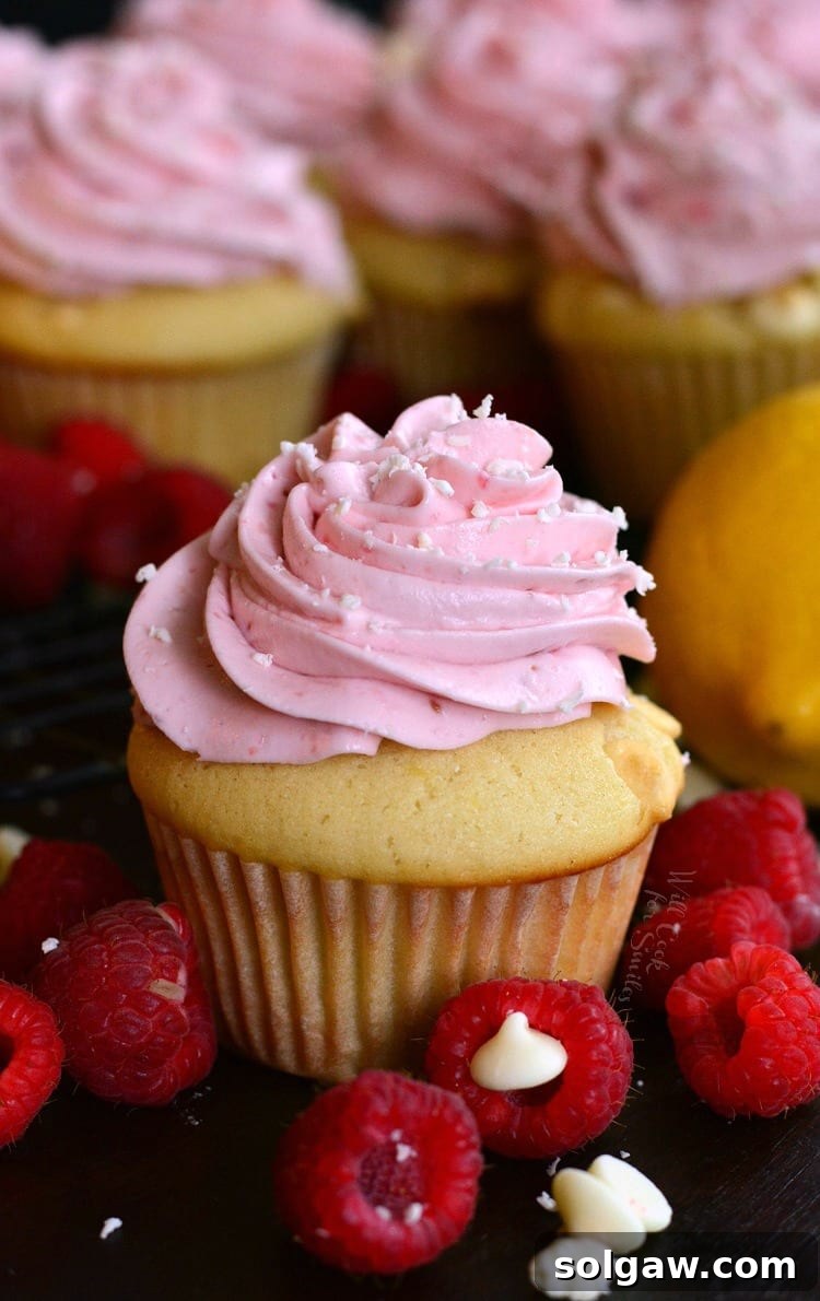 Cupcake with vibrant pink raspberry cream cheese frosting, garnished with fresh raspberries around its base.