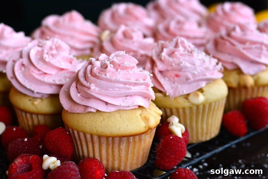 Horizontal shot of multiple pink-frosted cupcakes adorned with white chocolate chips and fresh raspberries, arranged invitingly.