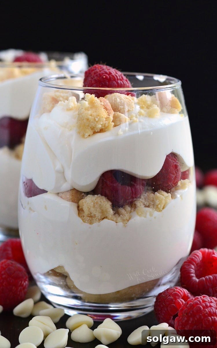 An elegant raspberry and white chocolate mousse parfait served in a stemless wine glass, featuring distinct layers of creamy mousse and bright raspberry.