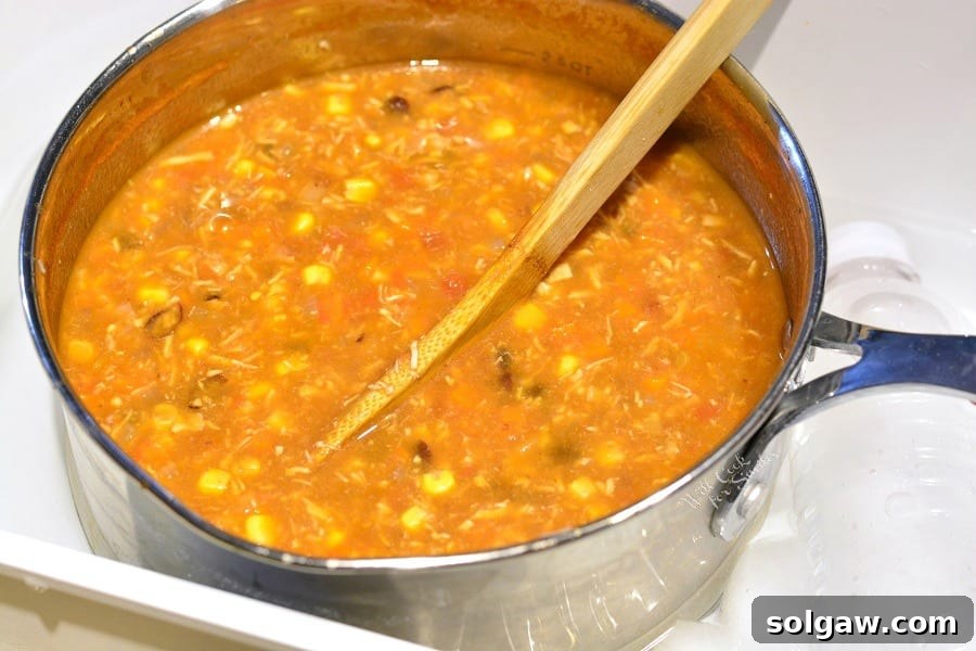 Chicken Tortilla Soup in a pan with a wooden spoon in it