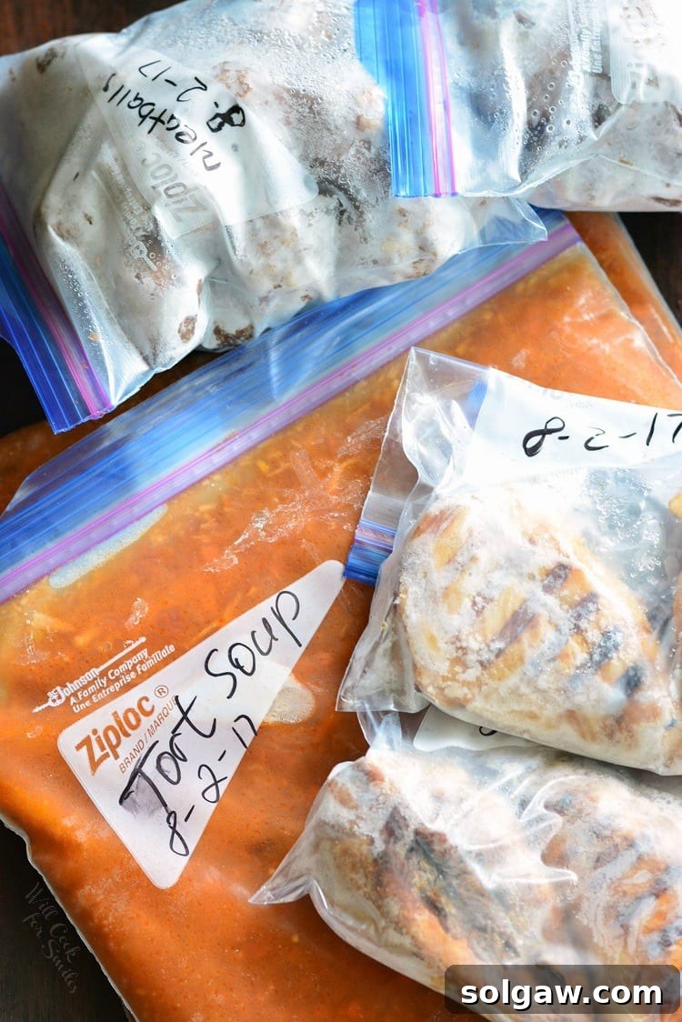 foods frozen in ziplock bags