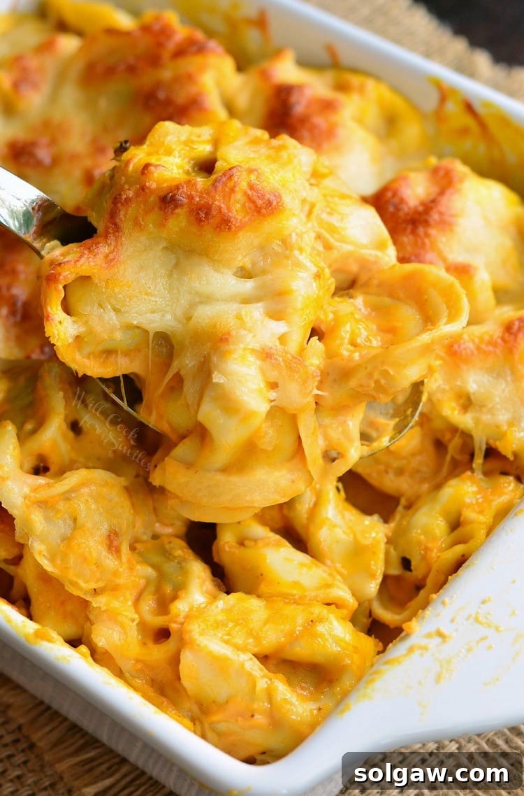 Spicy Three Cheese Pumpkin Tortellini Bake in a white baking dish, garnished with fresh herbs