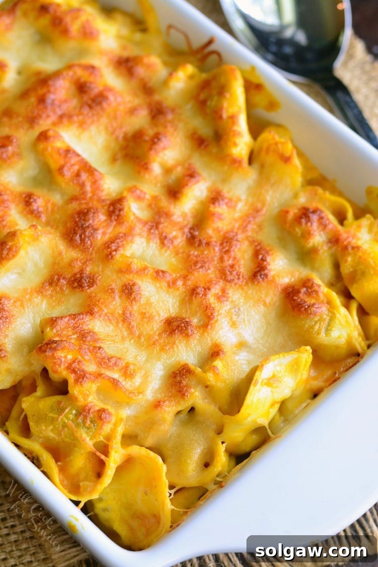 Close-up of individual serving of Spicy Three Cheese Pumpkin Tortellini Bake, highlighting the creamy sauce and tortellini
