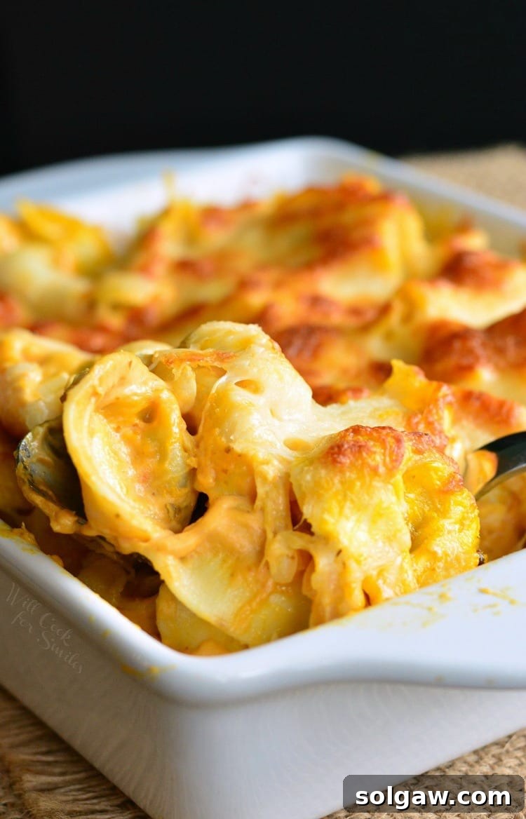 Spicy Three Cheese Pumpkin Tortellini Bake in a white casserole dish