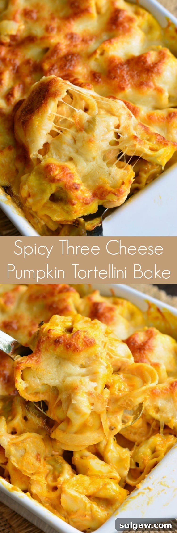 Fiery Triple Cheese Pumpkin Tortellini Casserole 8 Collage of three images of Spicy Three Cheese Pumpkin Tortellini Bake in a white casserole dish