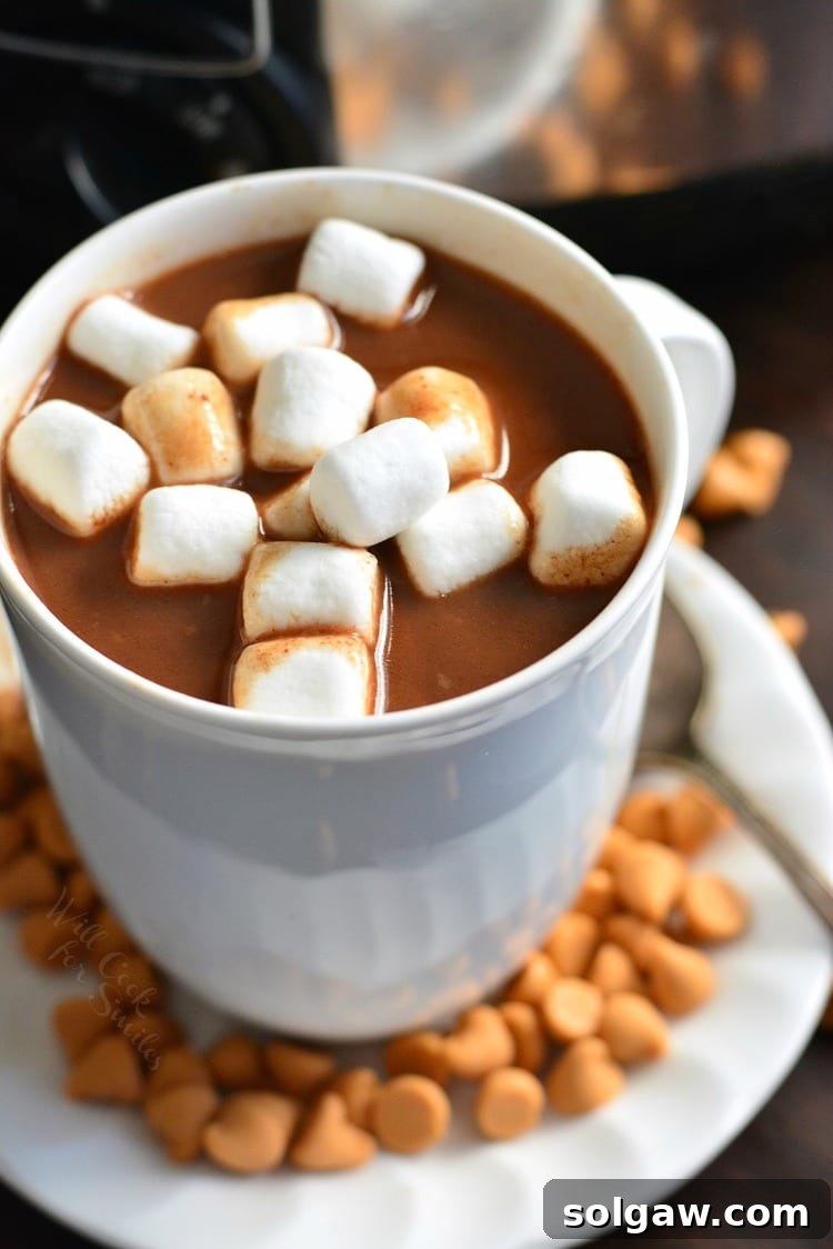 Slow Cooker Butterscotch Hot Chocolate