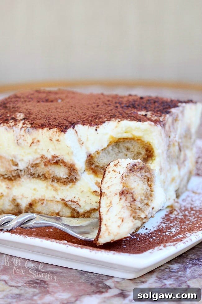 A serving of classic Tiramisu on a plate with a spoon, ready to be enjoyed.