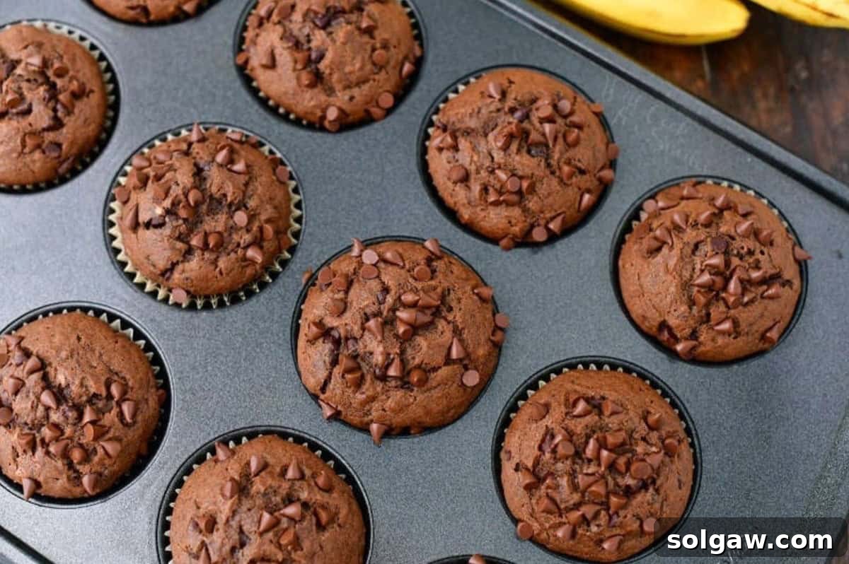 Warm chocolate banana muffins cooling in their baking pan, ready to be enjoyed.