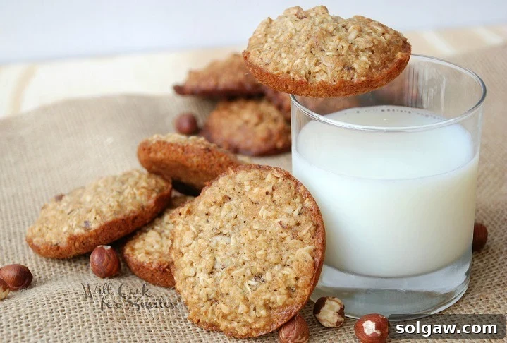 A collection of honey hazelnut oatmeal cookies on burlap next to a glass of milk