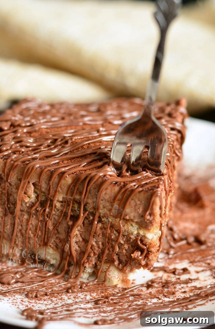 Easy Egg-Free Nutella Tiramisu 3 A close-up shot of a fork taking a bite from a creamy, layered no-egg Nutella Tiramisu, beautifully drizzled with extra Nutella on top, resting on a white plate.