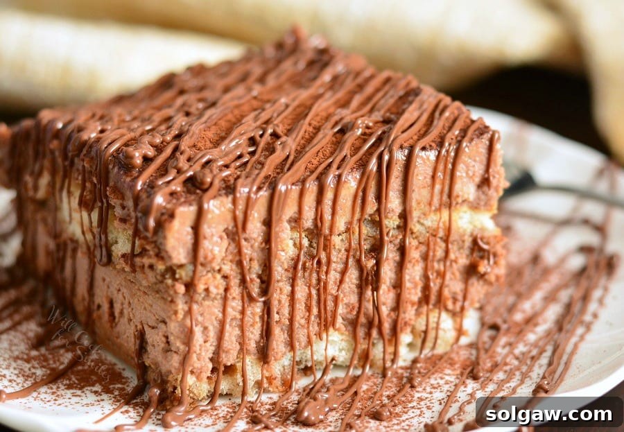 A delicious homemade Nutella Tiramisu, presented in a dish, ready to be served.