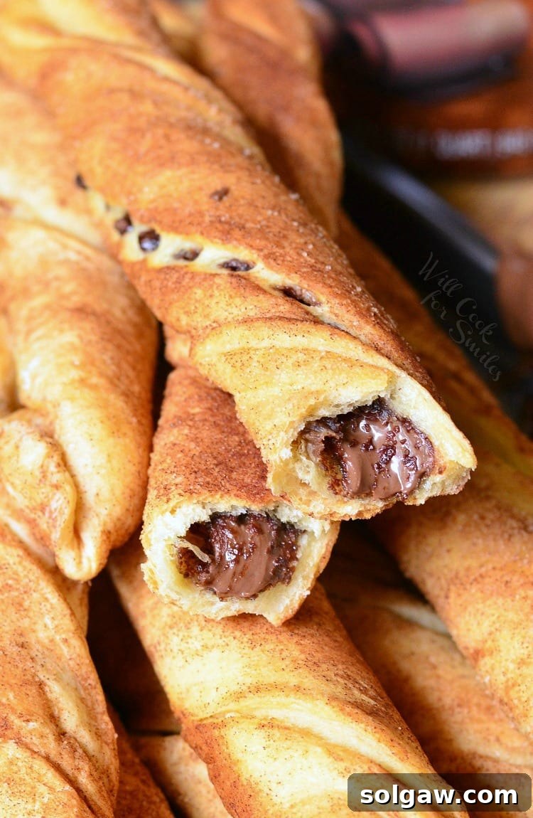 Chocolate Hazelnut Cinnamon Twists, a sweet pastry dessert.