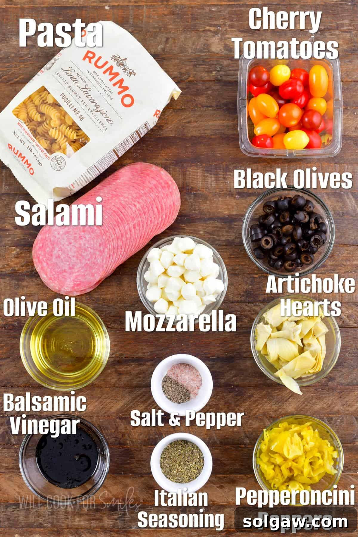 Labeled ingredients for Antipasto Pasta Salad including rotini, salami, mozzarella, olives, artichokes, pepperoncini, and cherry tomatoes, arranged on a rustic wooden background.