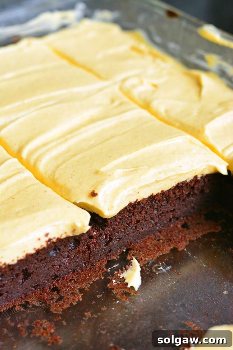 Pumpkin brownies in a baking dish, showcasing their rich texture and warm colors.